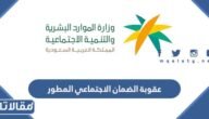 كم تبلغ غرامة الضمان الاجتماعي المطور