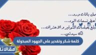 كلمة شكر وتقدير على الجهود المبذولة