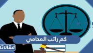 كم راتب المحامي في المملكة العربية السعودية