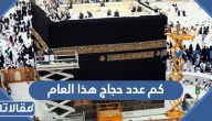كم عدد حجاج هذا العام 1444 – 2023
