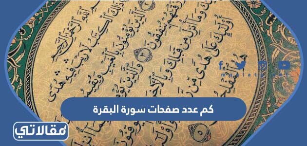 كم عدد صفحات سورة البقرة
