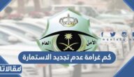كم غرامة عدم تجديد الاستمارة للسيارة ومتي يتم تسجيلها 2026