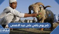كم يوم باقي على عيد الاضحى 1446
