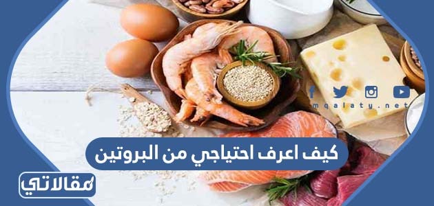 كيف اعرف احتياجي من البروتين
