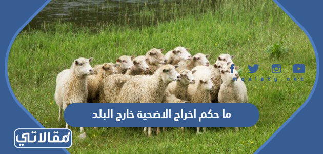 ما حكم اخراج الاضحية خارج البلد