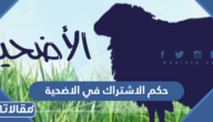حكم الاشتراك في الاضحية
