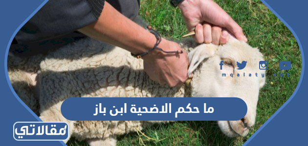 ما حكم الاضحية ابن باز