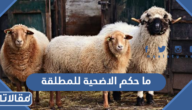 ما حكم الاضحية للمطلقة
