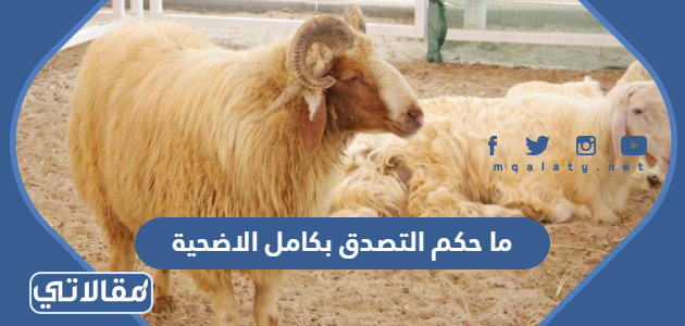 ما حكم التصدق بكامل الاضحية