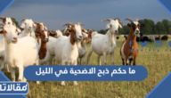 حكم ذبح الاضحية في الليل