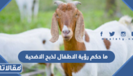 حكم رؤية الاطفال لذبح الاضحية