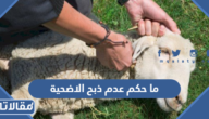حكم عدم ذبح الاضحية