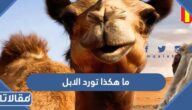 من قائل ما هكذا تورد الابل