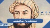 معلومات عن ابن النفيس