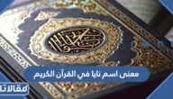معنى اسم نايا في القرآن الكريم