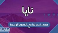معنى اسم نايا في المعجم الوسيط