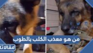 من هو معذب الكلب بالطوب في السعودية