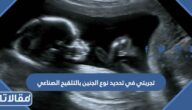 تجربتي في تحديد نوع الجنين بالتلقيح الصناعي