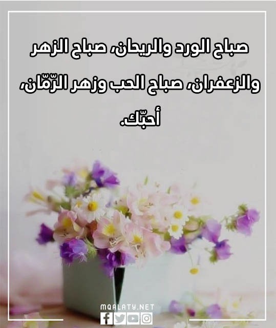 صور عبارات صباح الخير للحبيب قصيرة 2023