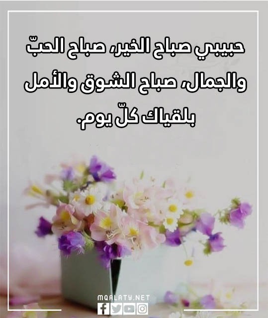 صور عبارات صباح الخير للحبيب قصيرة 2023