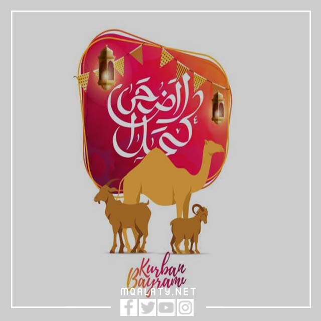 اجمل بطاقات تهنئة ومعايدة عيد الاضحى 2023