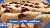 اسعار الاضاحي 2023 في السعودية