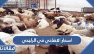 اسعار الاضاحي في الراجحي 2023 – 1444