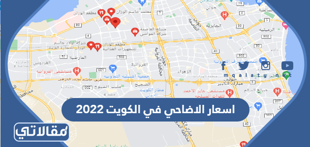 اسعار الاضاحي في الكويت 2023