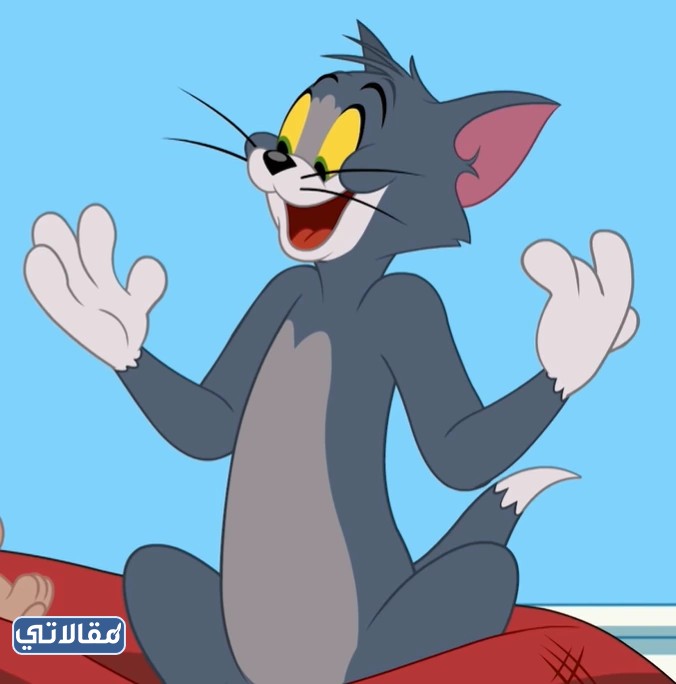 القط توم