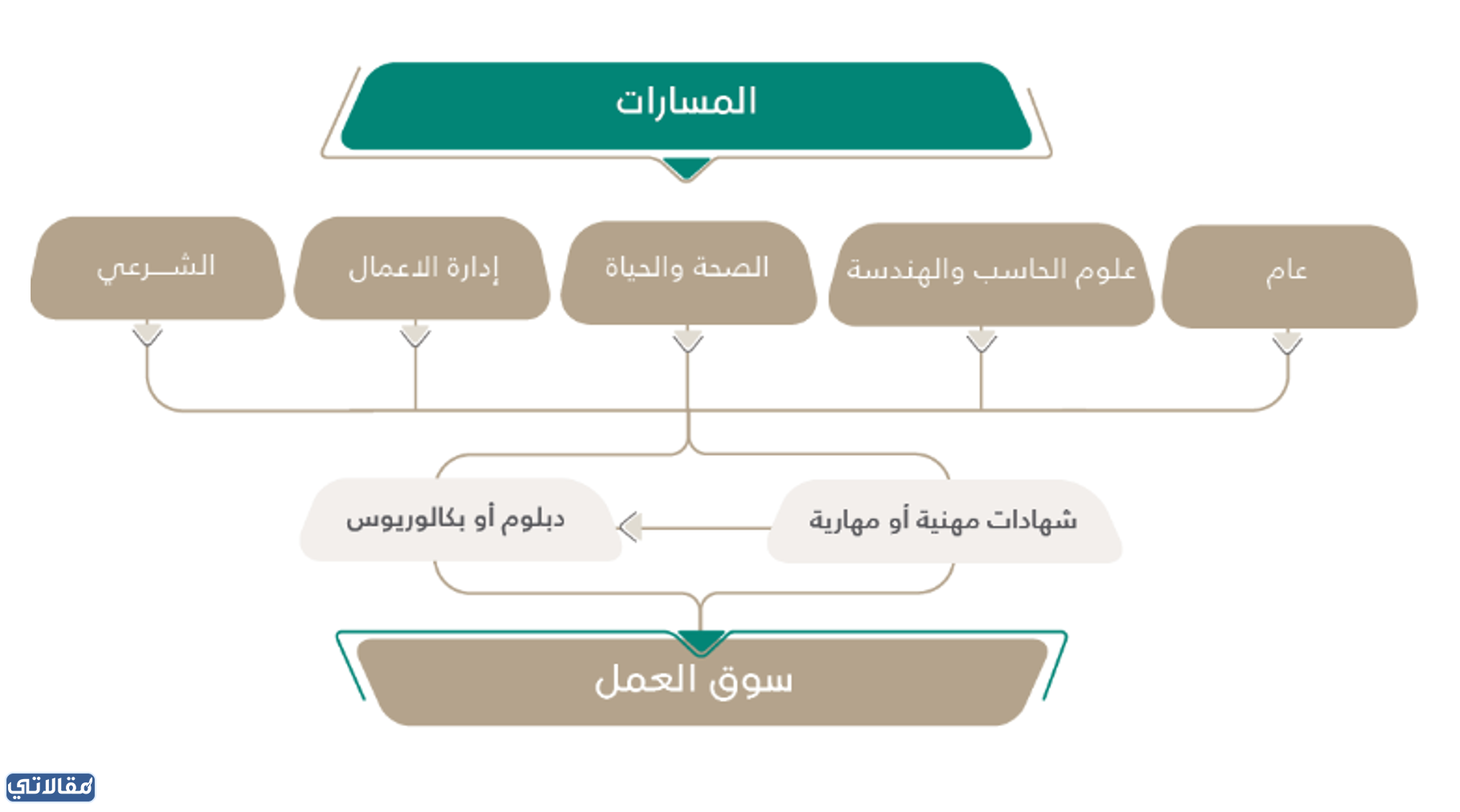 ما هي المسارات الجديد في السعودية