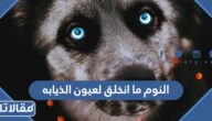 ما معنى النوم ما انخلق لعيون الذيابه