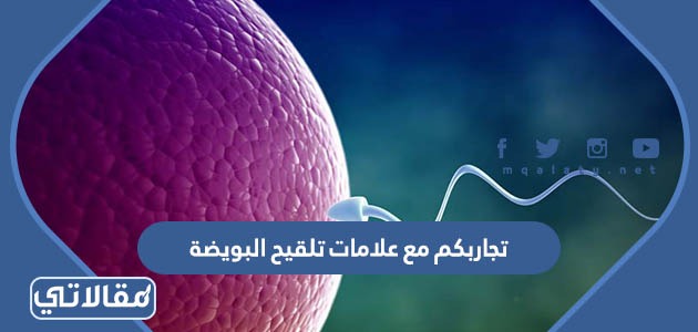 تجاربكم مع علامات تلقيح البويضة