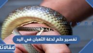 تفسير حلم لدغة الثعبان في اليد للعزباء والمتزوجة والحامل