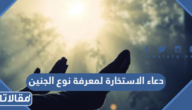 دعاء الاستخارة لمعرفة نوع الجنين
