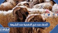 دعاء ذبح الأضحية عند الشيعة مكتوب