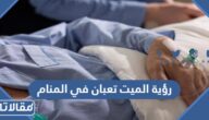 رؤية الميت تعبان في المنام للعزباء والمتزوجة والحامل
