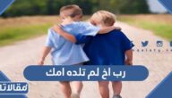 رب اخ لم تلده امك من القائل