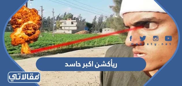 ريأكشن اكبر حاسد