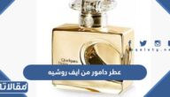 كم  سعر عطر دامور من ايف روشيه ومواصفاته