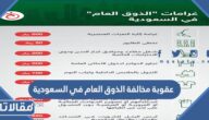 عقوبة مخالفة الذوق العام في السعودية 1447
