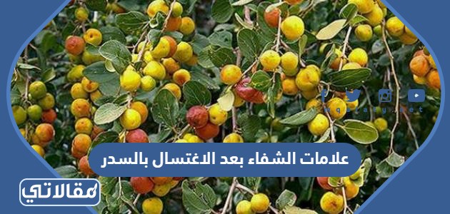 علامات الشفاء بعد الاغتسال بالسدر