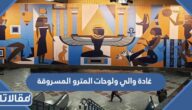 تفاصيل قصة غادة والي ولوحات المترو المسروقة