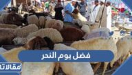 فضل يوم النحر للحاج ولغير الحاج