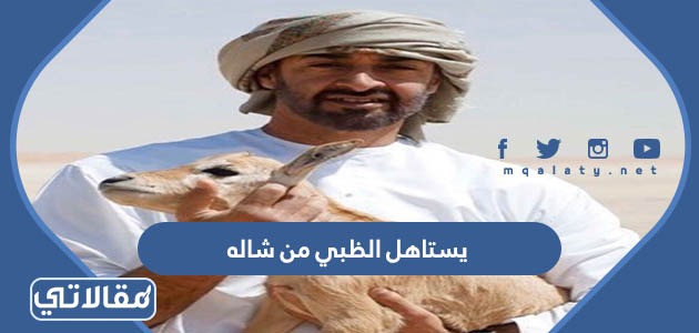 كلمات ياشايل الظبي