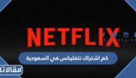 كم اشتراك نتفلیکس في السعودية 1447