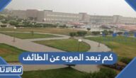 كم تبعد المويه عن الطائف