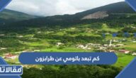 كم تبعد باتومي عن طرابزون