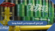 كم تنتج السعودية من النفط يوميا