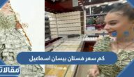 كم سعر فستان بيسان اسماعيل اليوتيوبر السورية