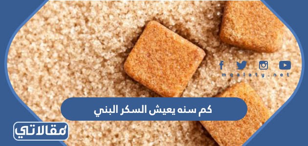 كم سنه يعيش السكر البني